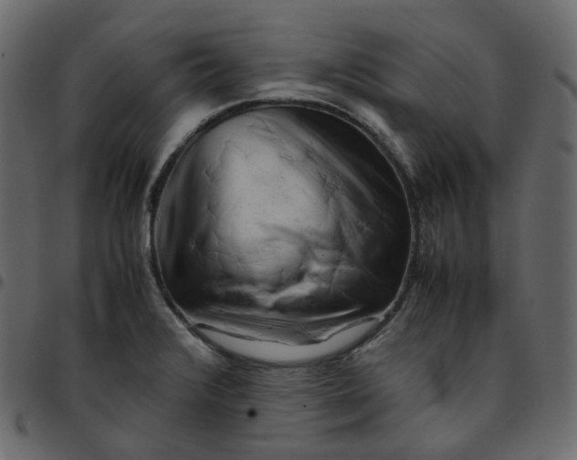 X0000095691376200801221238