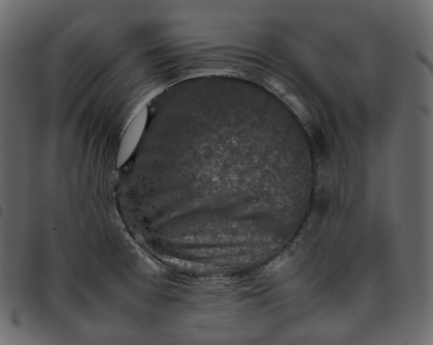 X0000095691377200801221238