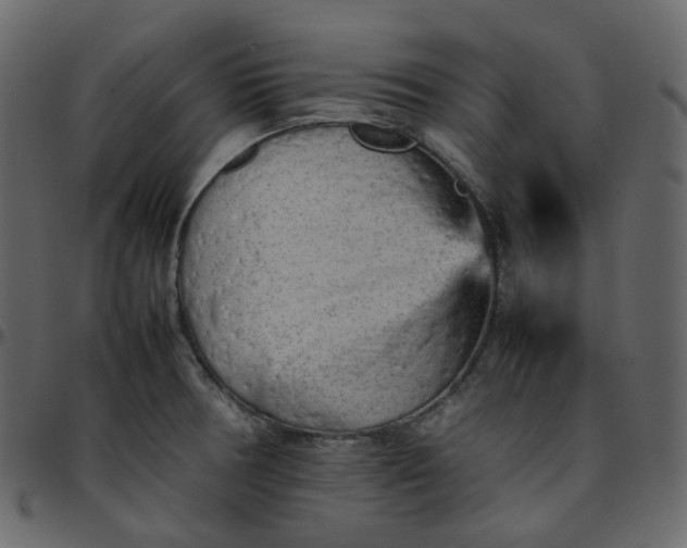 X0000095691378200801221238