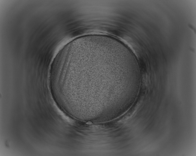 X0000095691379200801221238