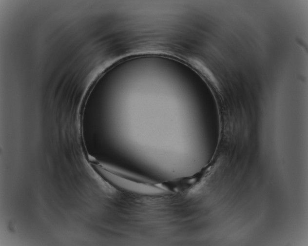 X0000095691380200801221238