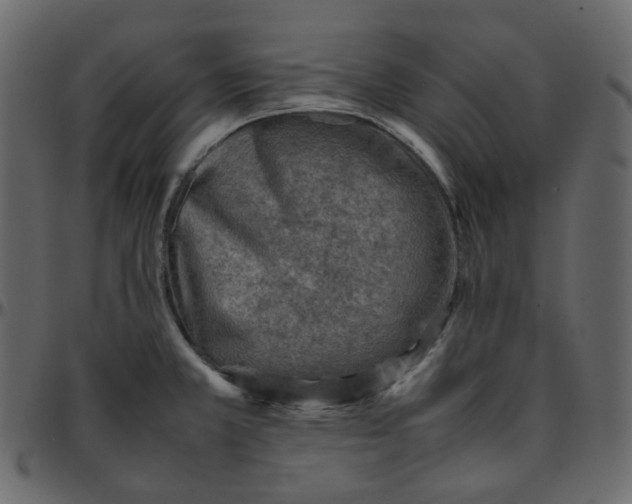 X0000095691381200801221238