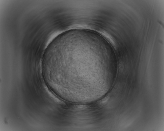 X0000095691382200801221238