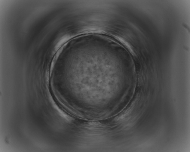 X0000095691383200801221238