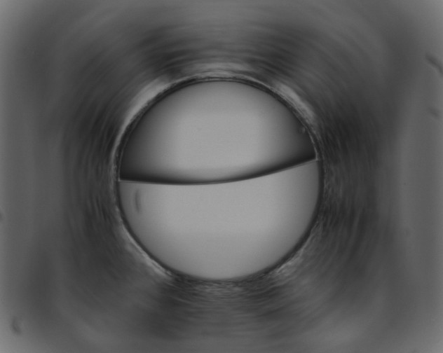 X0000095691384200801221238