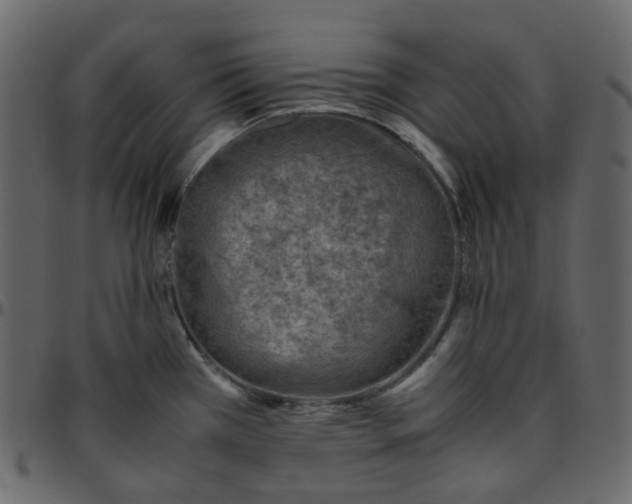 X0000095691385200801221238