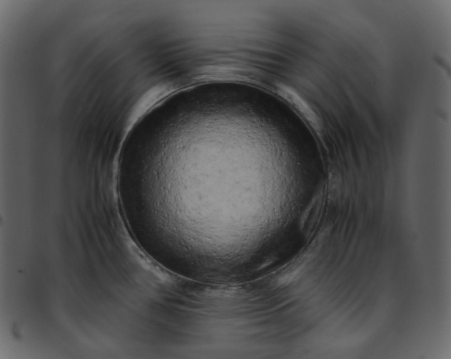 X0000095691386200801221238