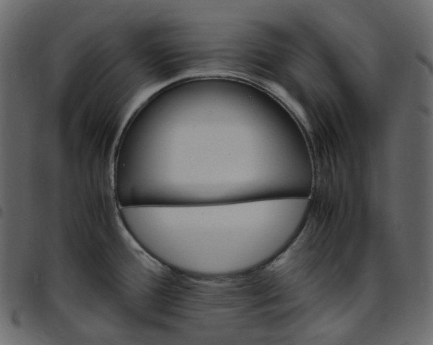 X0000095691388200801221238