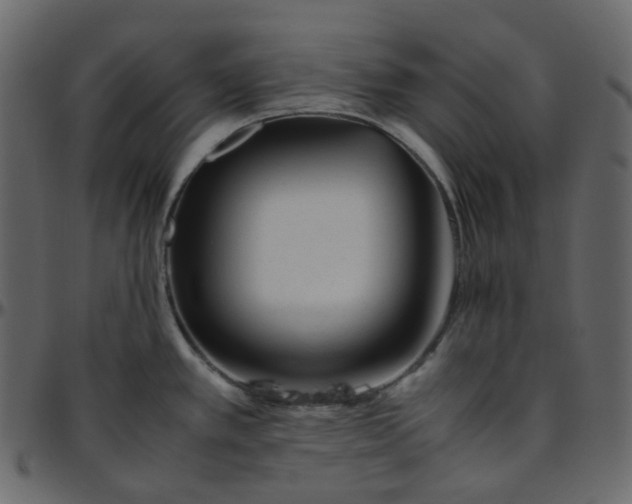 X0000095691389200801221238