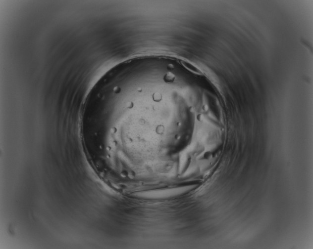 X0000095691390200801221238