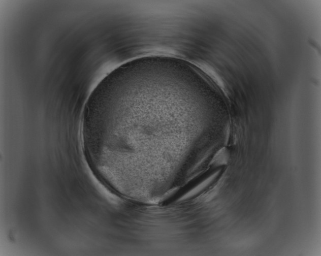 X0000095691391200801221238