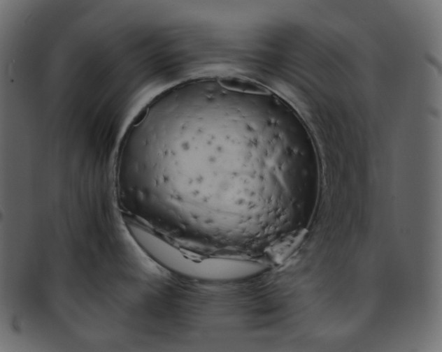 X0000095691392200801221238