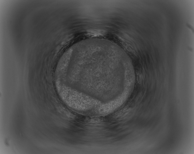 X0000095691393200801221237