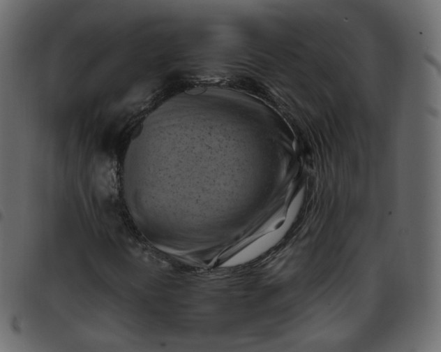 X0000095691394200801221237