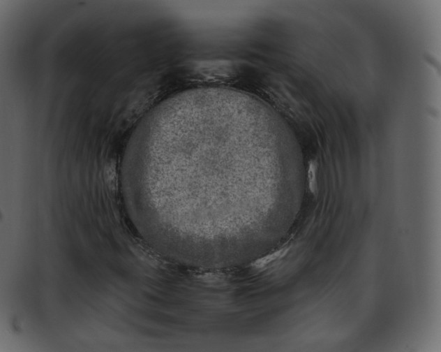 X0000095691395200801221237