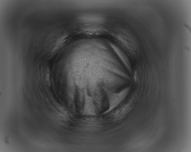 X0000095691396200801221237