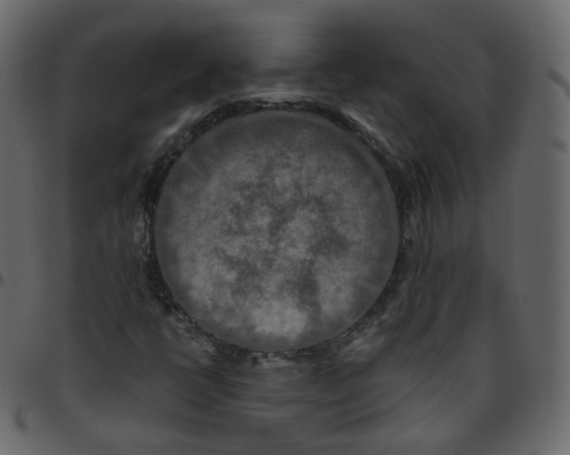 X0000095691398200801221237