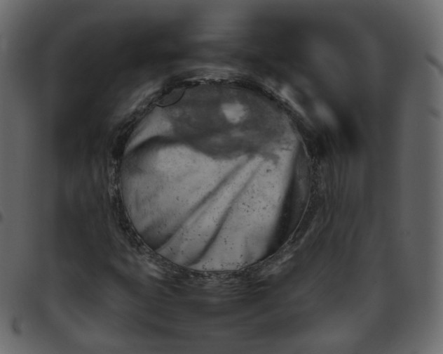 X0000095691399200801221238