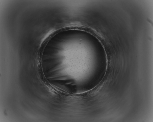 X0000095691400200801221238