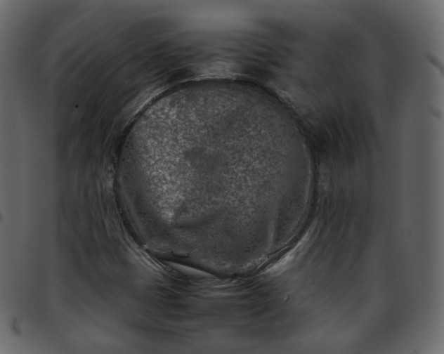 X0000095691401200801221238