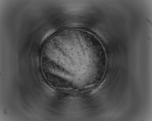 X0000095691402200801221238