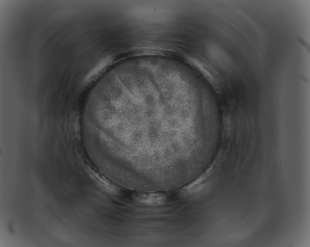 X0000095691403200801221238