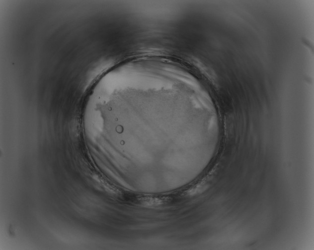 X0000095691405200801221238