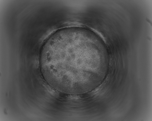 X0000095691407200801221238