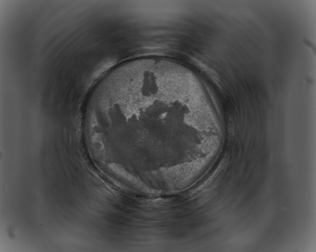 X0000095691411200801221238