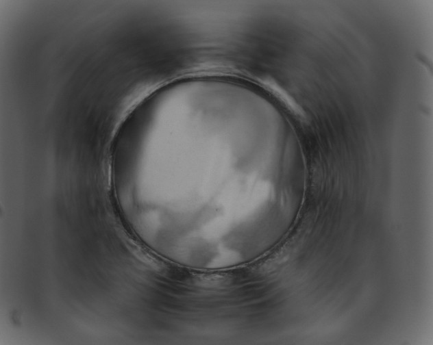 X0000095691413200801221238