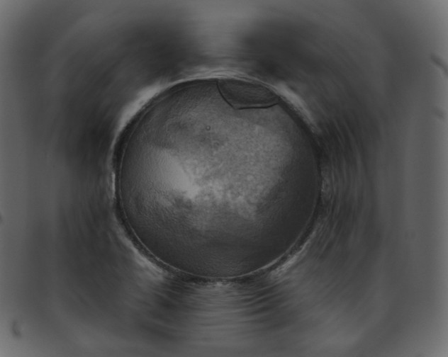 X0000095691414200801221238