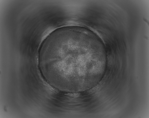 X0000095691415200801221238