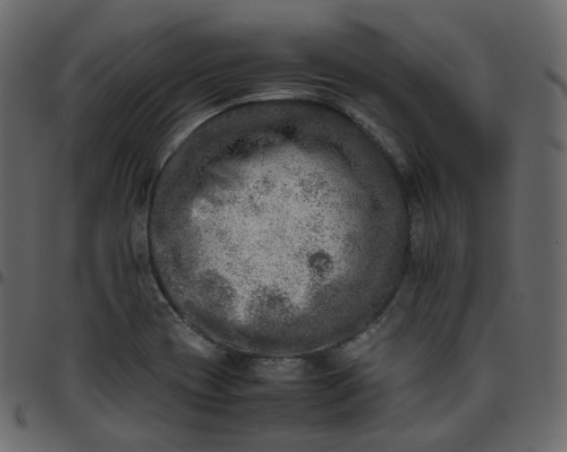 X0000095691417200801221238