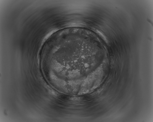 X0000095691419200801221238