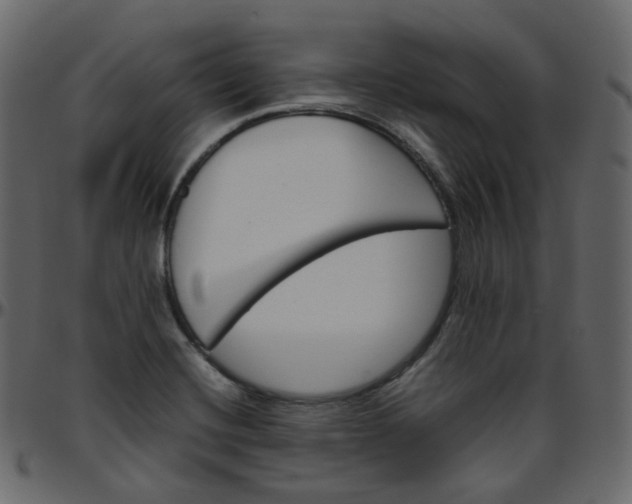 X0000095691420200801221238