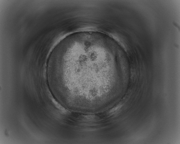 X0000095691421200801221238