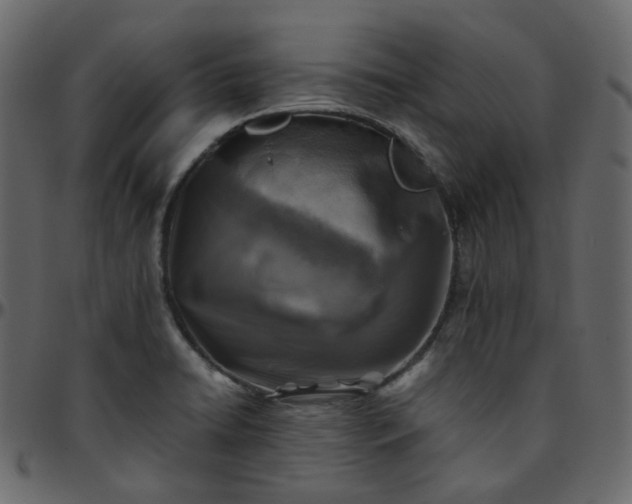 X0000095691422200801221238