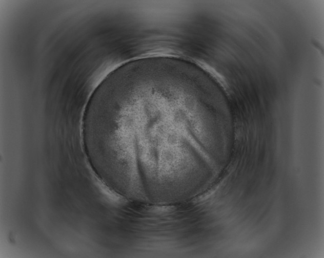 X0000095691423200801221238