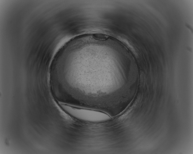 X0000095691424200801221238