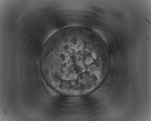 X0000095691425200801221238