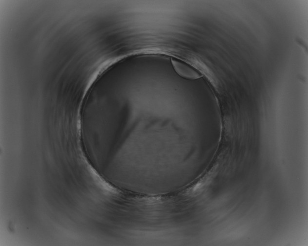 X0000095691428200801221238