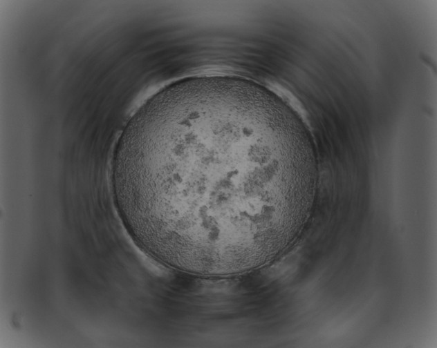 X0000095691429200801221238