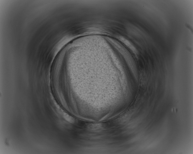 X0000095691431200801221238