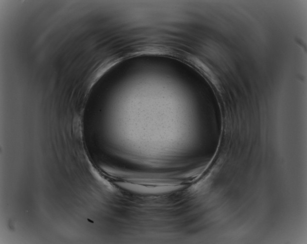 X0000095691433200801221238