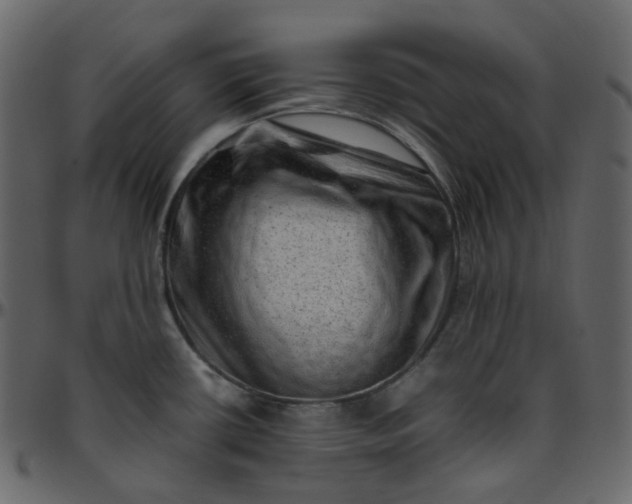 X0000095691434200801221238