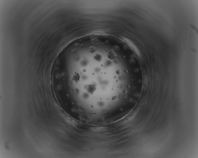 X0000095691435200801221238