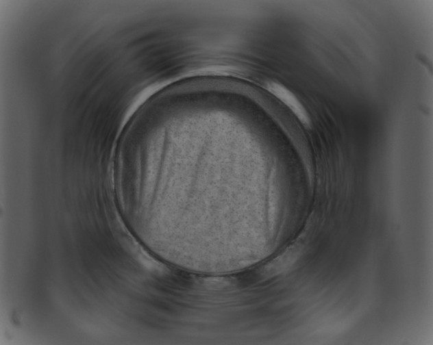 X0000095691436200801221238