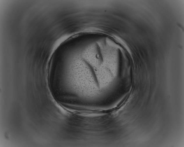 X0000095691437200801221238