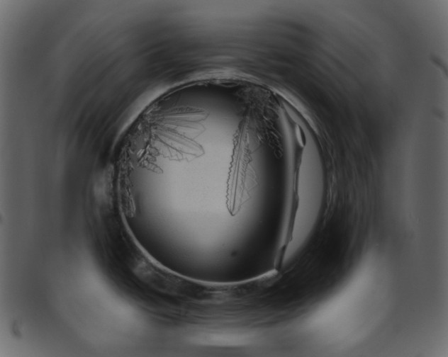 X0000095691438200801221238