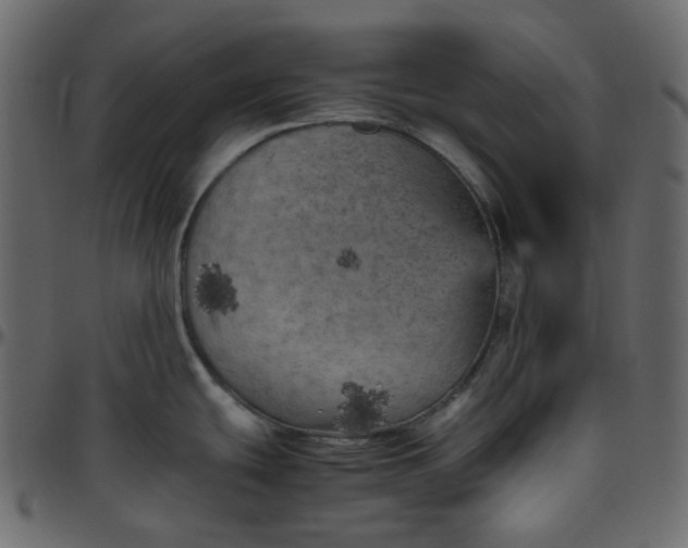 X0000095691439200801221238